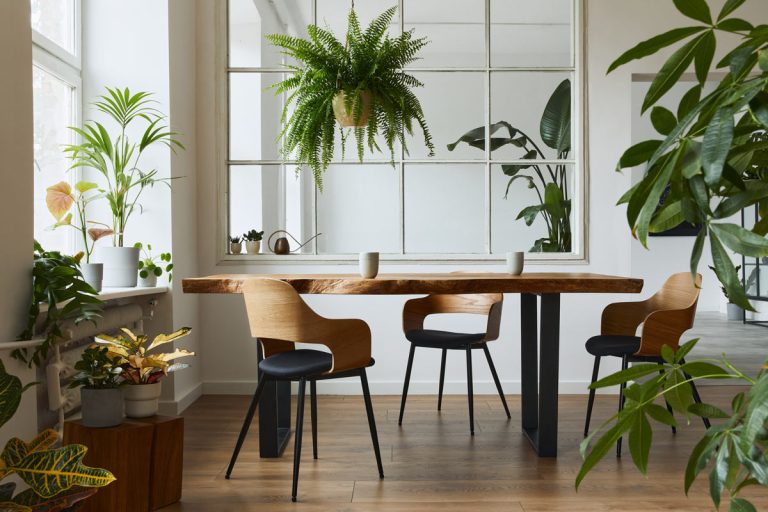 How Exactly Do Plants Help With Workplace Productivity